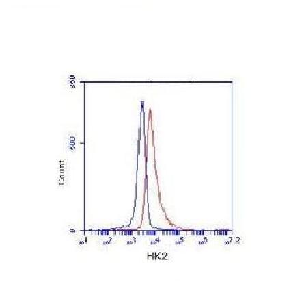 Hexokinase-2( N-term) Monoclonal Antibody