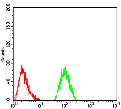 IL1RAPL1 Antibody