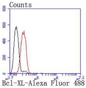 Bcl-XL Rabbit mAb