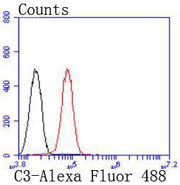 C3 Rabbit mAb