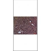 Glypican-3 Polyclonal Antibody