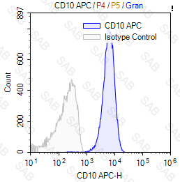 APC anti-human CD10