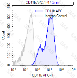 APC anti-human/mouse CD11b