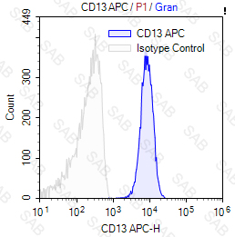 APC anti-human CD13