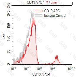 APC anti-human CD19