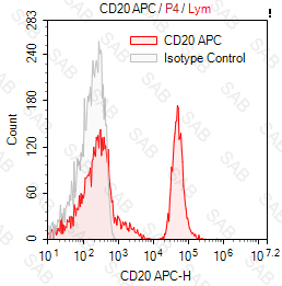 APC anti-human CD20