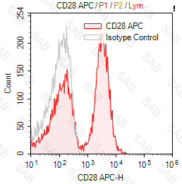 APC anti-human CD28