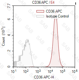 APC anti-human CD36