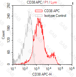 APC anti-human CD38