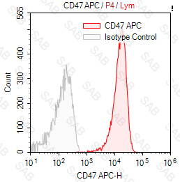 APC anti-human CD47