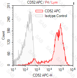 APC anti-human CD52