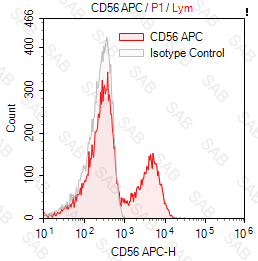 APC anti-human CD56