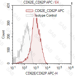 APC anti-human/pig CD62E/CD62P