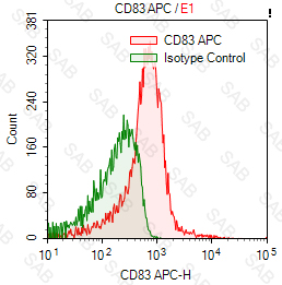 APC anti-human CD83