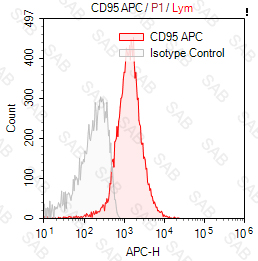 APC anti-human CD95