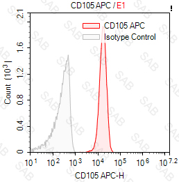 APC anti-human CD105