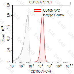 APC anti-human CD105