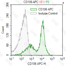 APC anti-human CD106