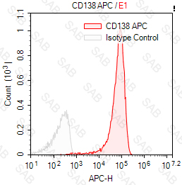 APC anti-human CD138