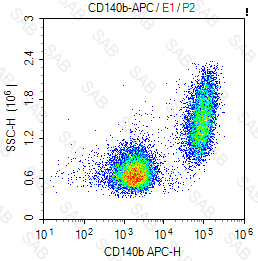 APC anti-human CD140b