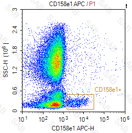 APC anti-human CD158e1