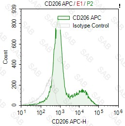 APC anti-human CD206