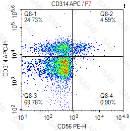 APC anti-human CD314