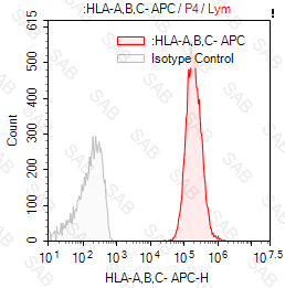 APC anti-human HLA-A B C（HLA Class I）