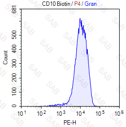 Biotin anti-human CD10