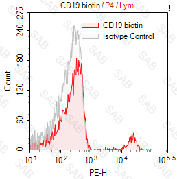 Biotin anti-human CD19