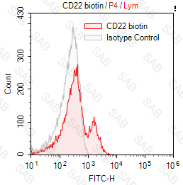 Biotin anti-human CD22