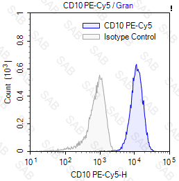 PE-Cy5 anti-human CD10