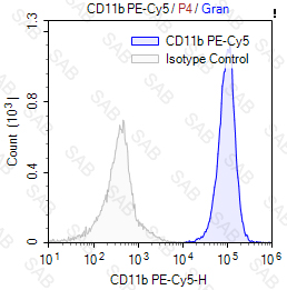 PE-Cy5 anti-human/mouse CD11b