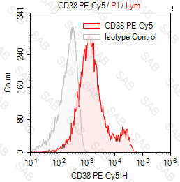 PE-Cy5 anti-human CD38