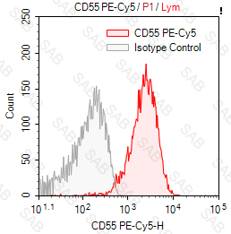 PE-Cy5 anti-human CD55