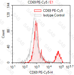 PE-Cy5 anti-human CD69