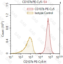 PE-Cy5 anti-human CD107b