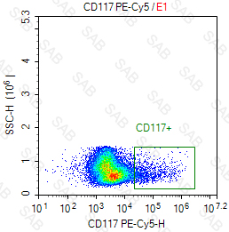 PE-Cy5 anti-human CD117