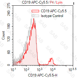 APC-Cy5.5 anti-human CD19