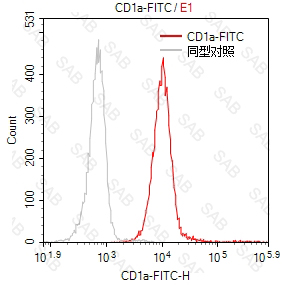 FITC anti-human CD1a