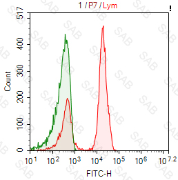 FITC anti-human CD3