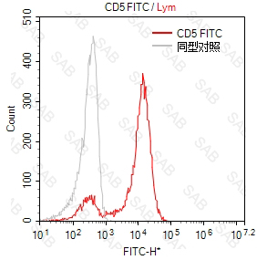 FITC anti-human CD5