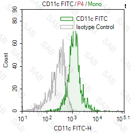 FITC anti-human CD11c