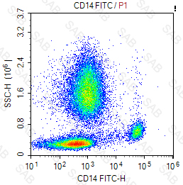 FITC anti-human CD14