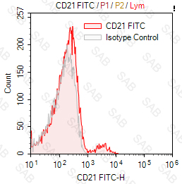 FITC anti-human CD21