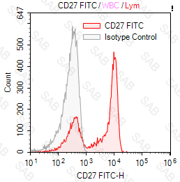 FITC anti human CD27