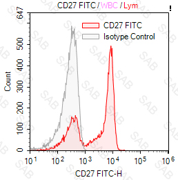 FITC anti human CD27