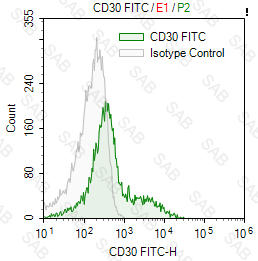 FITC anti-human CD30