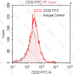 FITC anti-human CD32