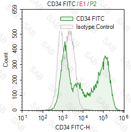 FITC anti-human CD34